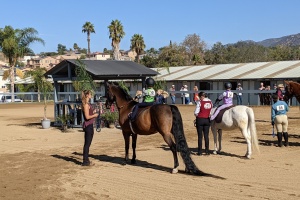 Horse Shows 2021